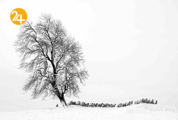 مناظر بریتانیا در قاب دوربین یک عکاس