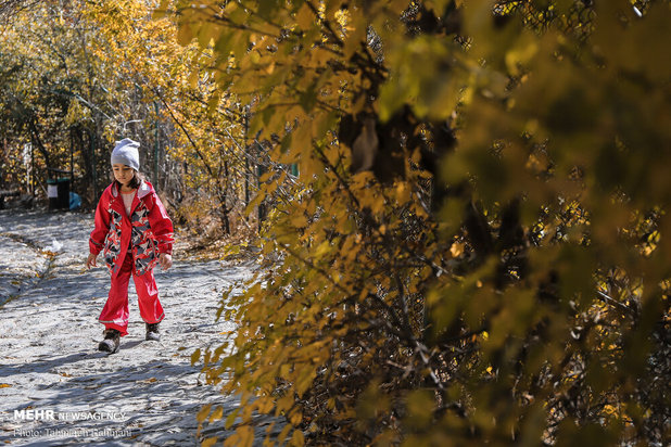رنگ پاییز تهران