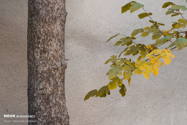 رنگ پاییز تهران