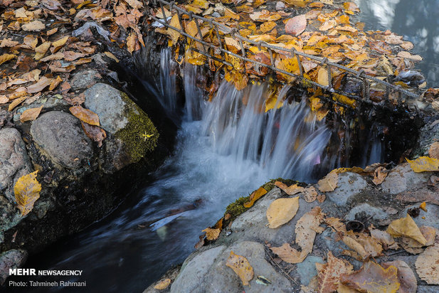 رنگ پاییز تهران