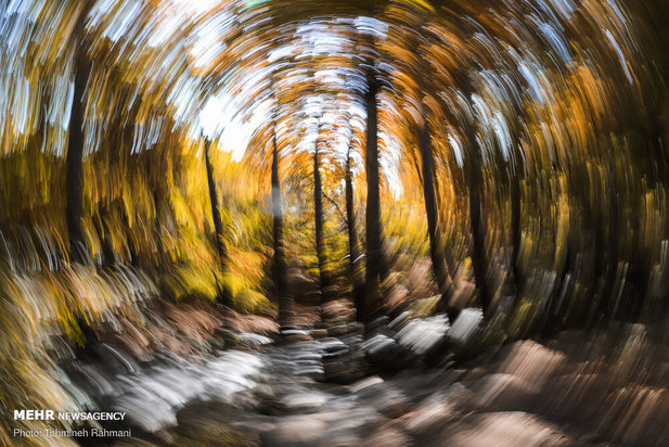 رنگ پاییز تهران