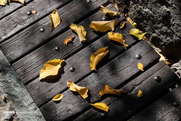 رنگ پاییز تهران