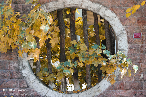 رنگ پاییز تهران