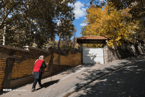 رنگ پاییز تهران