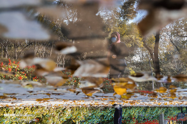 رنگ پاییز تهران