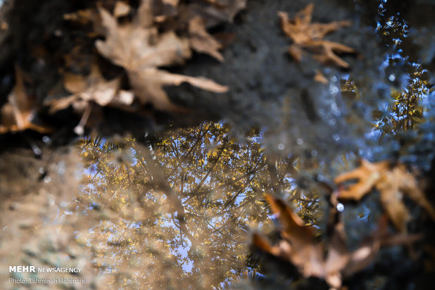 رنگ پاییز تهران