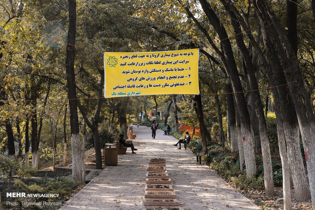 رنگ پاییز تهران