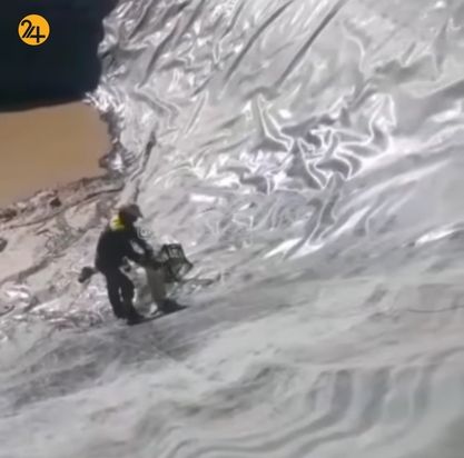 نجات روباه ها