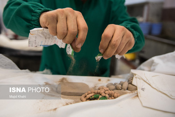 بهشت زهرا در روزهای کرونایی