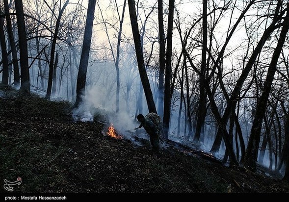 گرگان در آتش