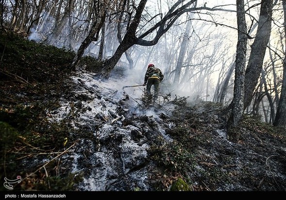 گرگان در آتش