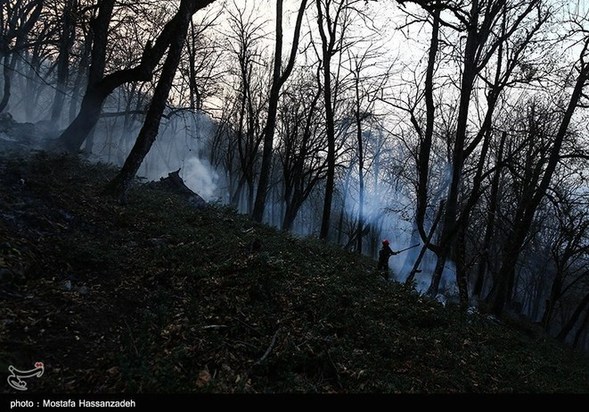 گرگان در آتش