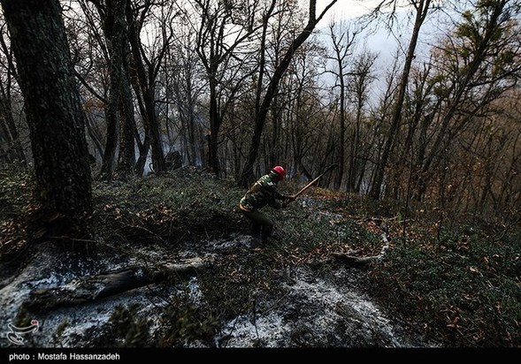 گرگان در آتش