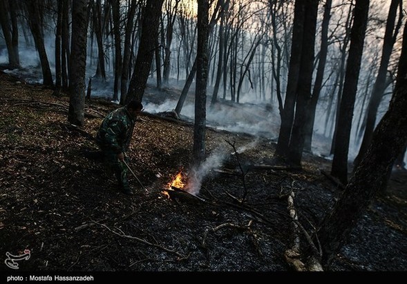 گرگان در آتش