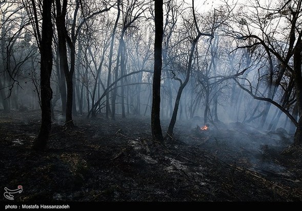 گرگان در آتش