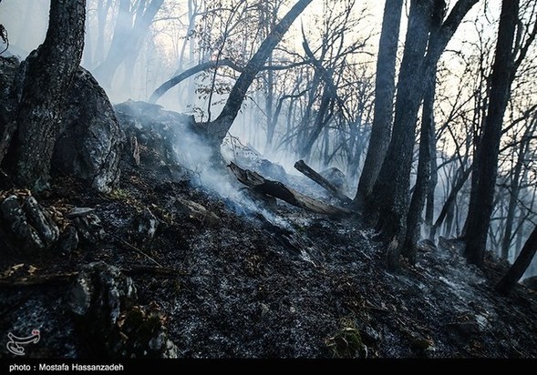 گرگان در آتش