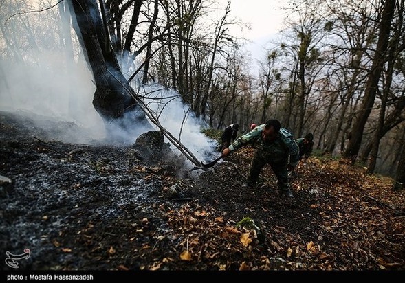 گرگان در آتش