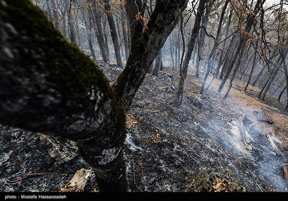 گرگان در آتش