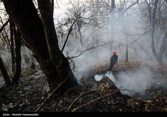 گرگان در آتش