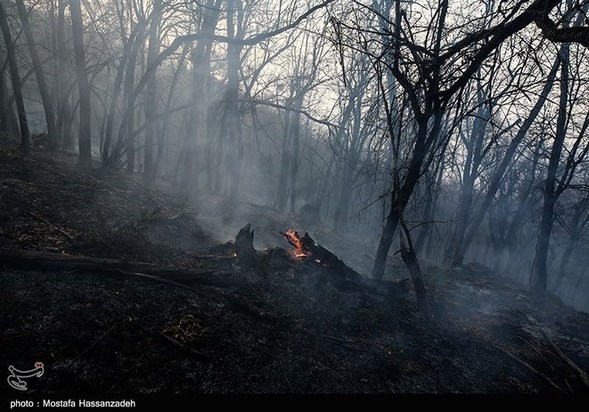 گرگان در آتش