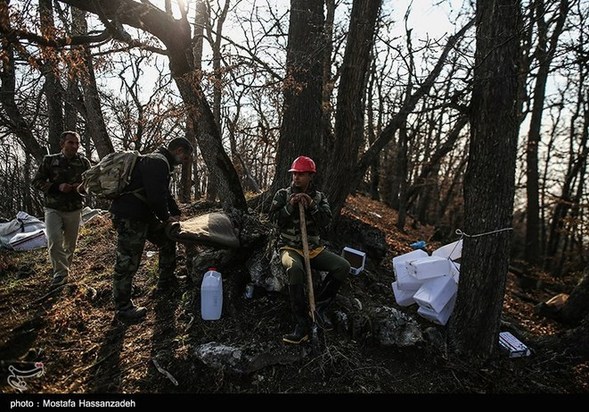 گرگان در آتش