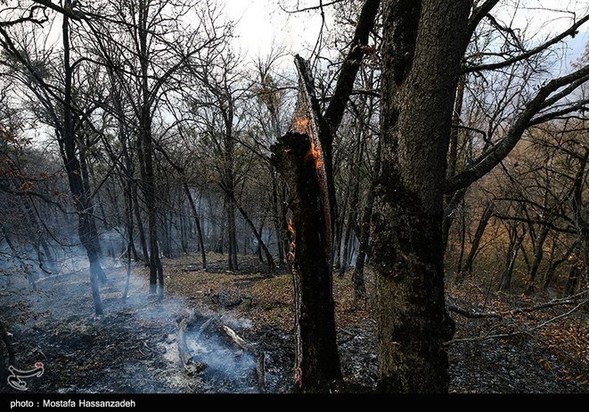 گرگان در آتش