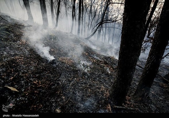 گرگان در آتش