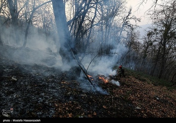 گرگان در آتش