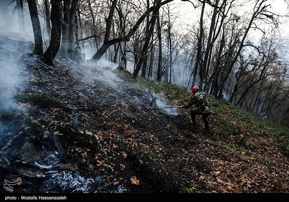 گرگان در آتش