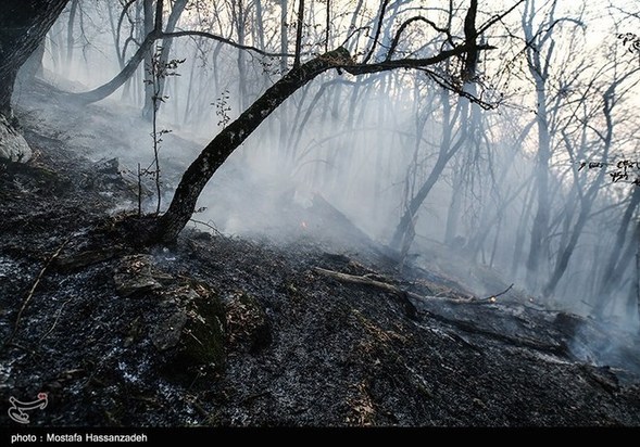 گرگان در آتش