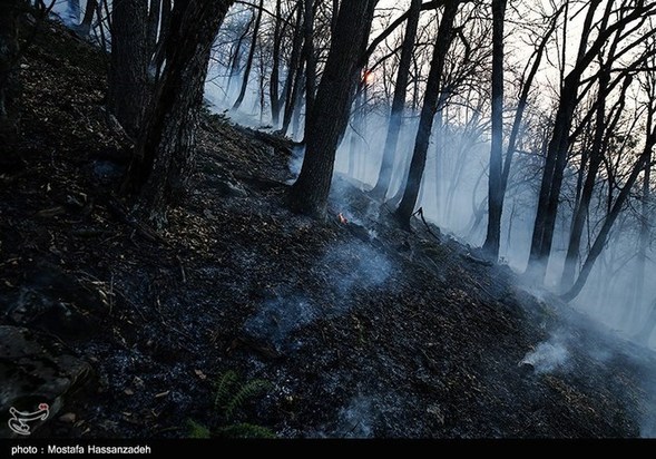 گرگان در آتش