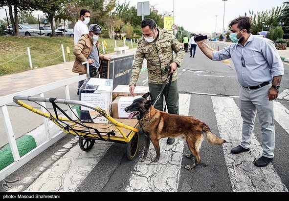 سگهای مواد یاب