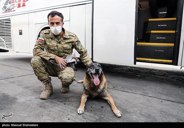 سگهای مواد یاب