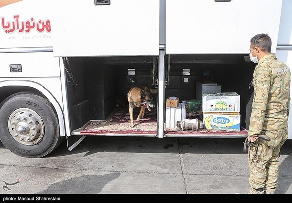 سگهای مواد یاب