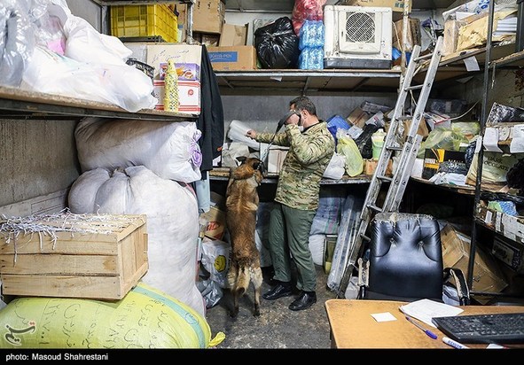 سگهای مواد یاب