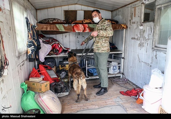 سگهای مواد یاب