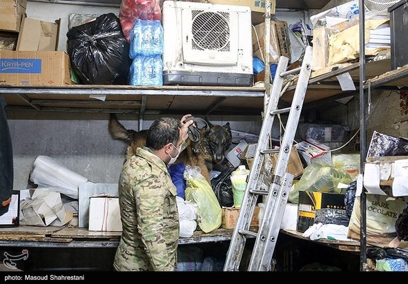 سگهای مواد یاب