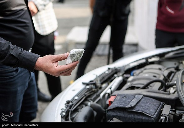 سگهای مواد یاب