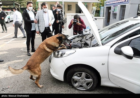 سگهای مواد یاب
