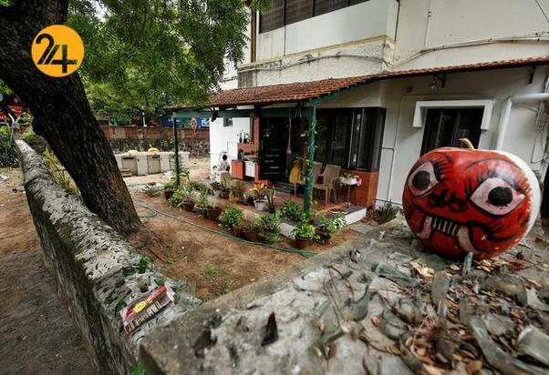 جشن پیروزی کامالا هریس