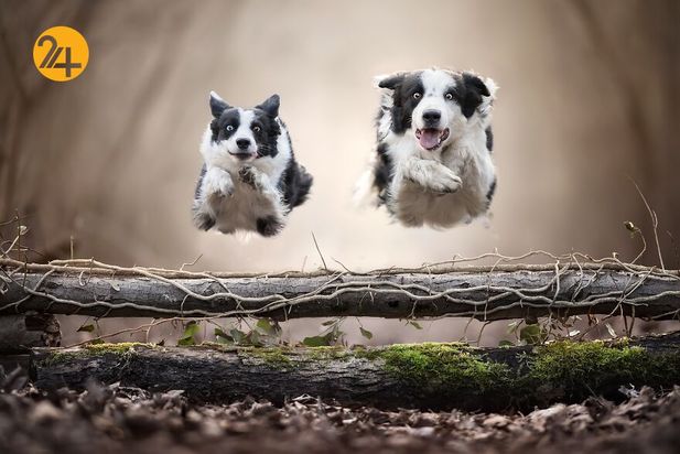 بهترین عکس‌های 2020