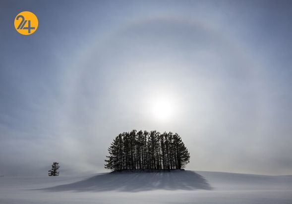 بهترین عکس‌های 2020