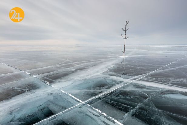 بهترین عکس‌های 2020