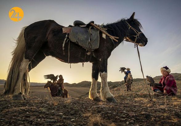 بهترین عکس‌های 2020