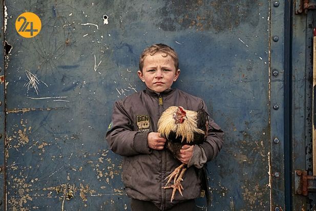 بهترین عکس‌های 2020