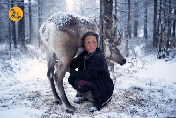 بهترین عکس‌های 2020