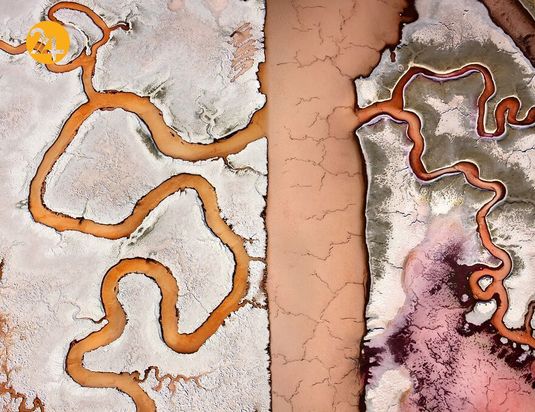 بهترین عکس‌های 2020