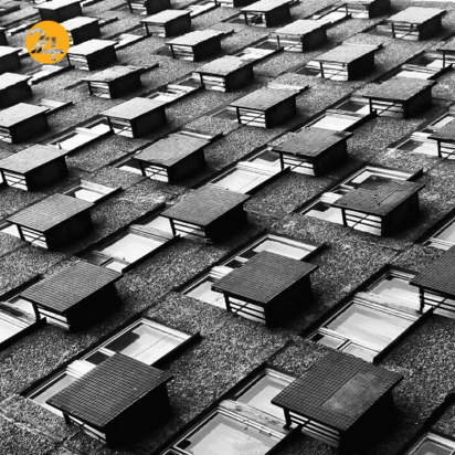 مینسک پایتخت بلاروس