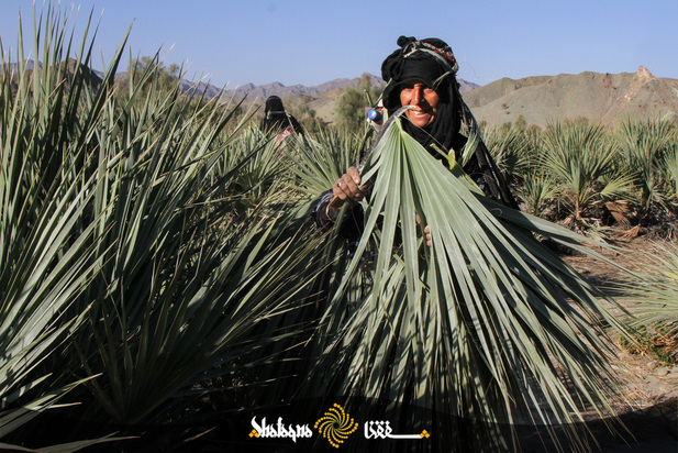 حصیربافی زنان