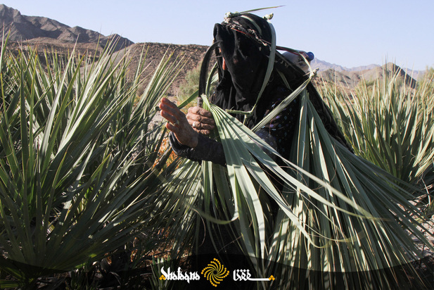 حصیربافی زنان